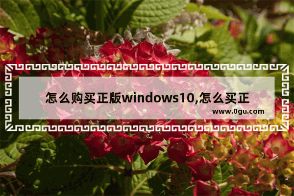 怎么购买正版windows10,怎么买正版windows10