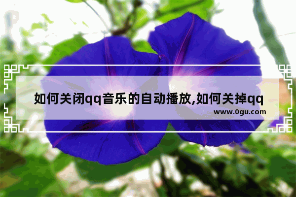 如何关闭qq音乐的自动播放,如何关掉qq音乐自动播放