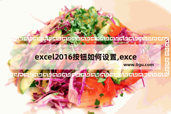 excel2016按钮如何设置,excel2007选项按钮如何设置