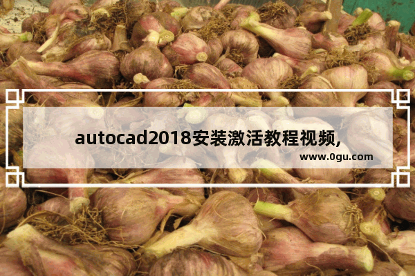 autocad2018安装激活教程视频,cad2020安装教程图解及激活方法
