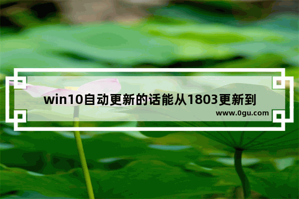 win10自动更新的话能从1803更新到1809吗 ,win101709更新失败