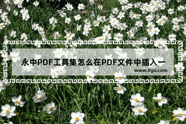 永中PDF工具集怎么在PDF文件中插入一张图片 永中PDF工具集在PDF文件中插入一张图片的方法