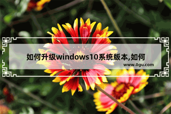 如何升级windows10系统版本,如何升级windows10系统专业版