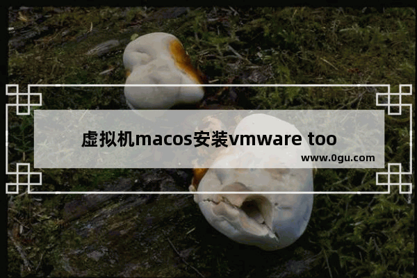 虚拟机macos安装vmware tools,macos vmware tools