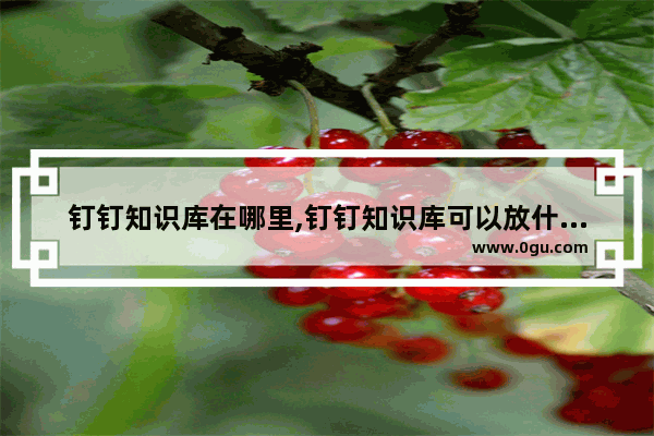 钉钉知识库在哪里,钉钉知识库可以放什么内容