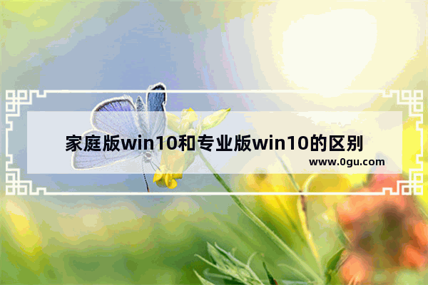 家庭版win10和专业版win10的区别,win10专业版和家庭版有啥区别