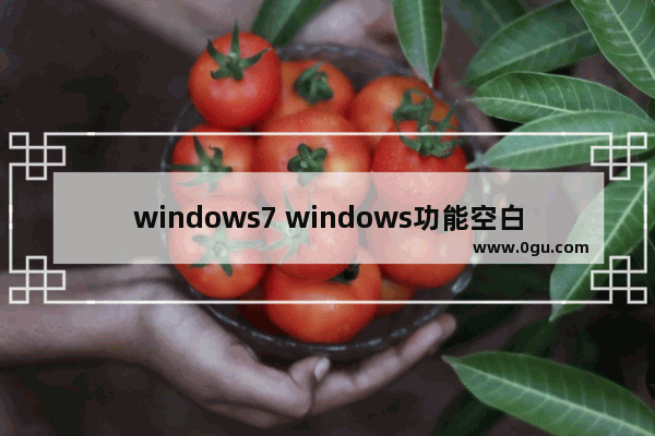 windows7 windows功能空白,win7旗舰版打开关闭功能空白