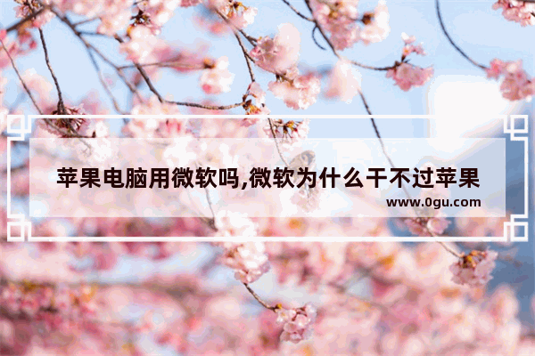 苹果电脑用微软吗,微软为什么干不过苹果