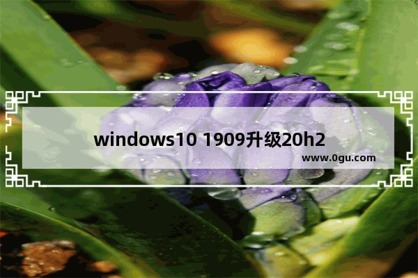 windows10 1909升级20h2,windows1020h2和1909