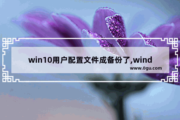 win10用户配置文件成备份了,windows10如何备份文件