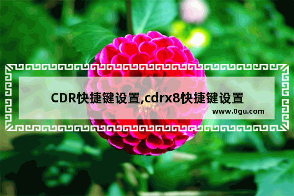 CDR快捷键设置,cdrx8快捷键设置