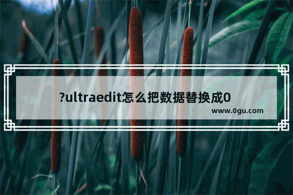 ?ultraedit怎么把数据替换成0 ?ultraedit将全部数据批量替换成0