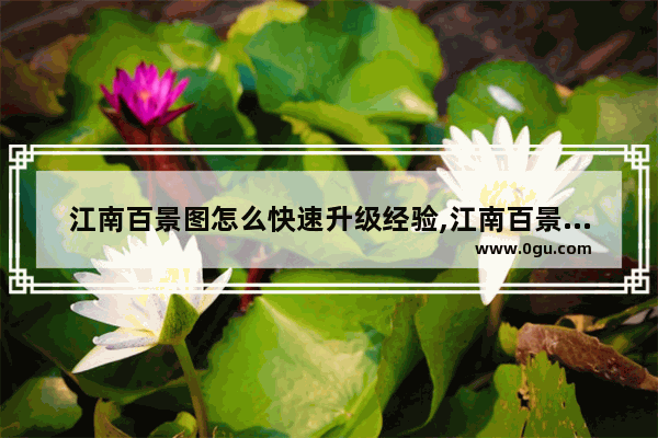 江南百景图怎么快速升级经验,江南百景图快速升级