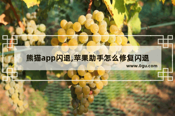 熊猫app闪退,苹果助手怎么修复闪退