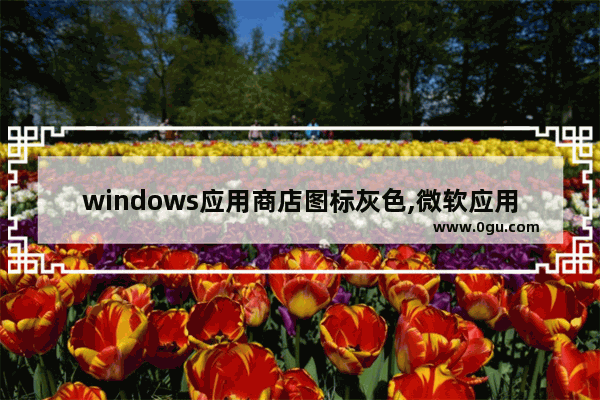 windows应用商店图标灰色,微软应用商店灰色