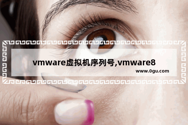 vmware虚拟机序列号,vmware8.0.3序列号
