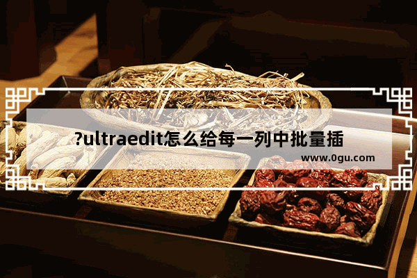 ?ultraedit怎么给每一列中批量插入文字 ?ultraedit开启列模式插入填充列的方法
