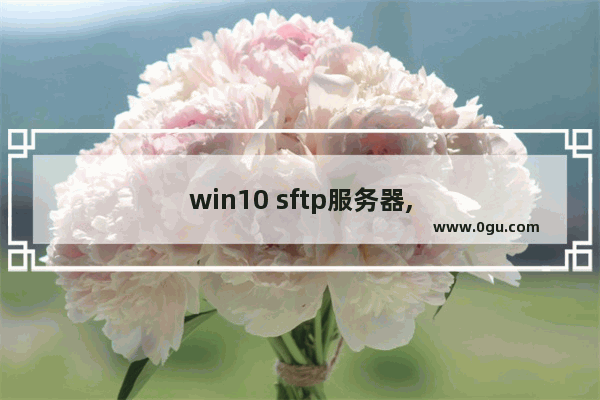 win10 sftp服务器,