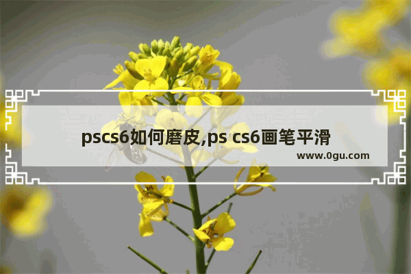 pscs6如何磨皮,ps cs6画笔平滑