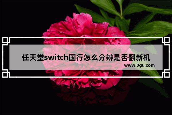 任天堂switch国行怎么分辨是否翻新机,switch怎么看是不是原装新机器