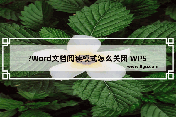 ?Word文档阅读模式怎么关闭 WPS Word退出阅读版式的方法教程