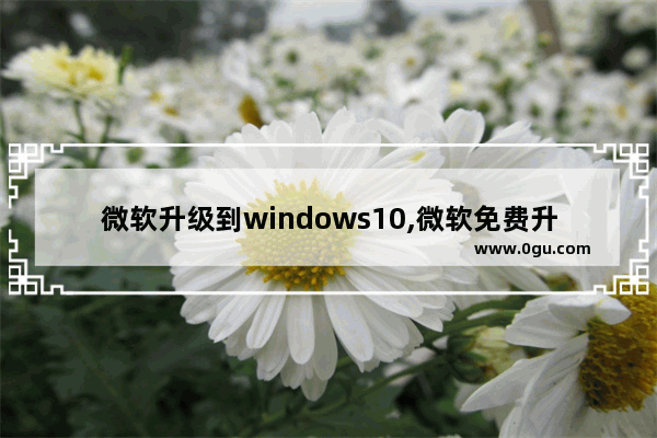 微软升级到windows10,微软免费升级到win10