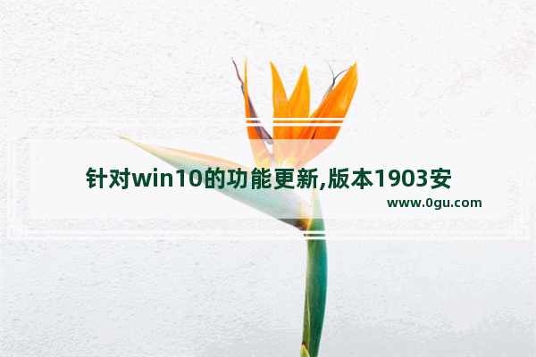 针对win10的功能更新,版本1903安装失败,windows10 1903更新
