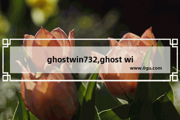 ghostwin732,ghost win7纯净版下载