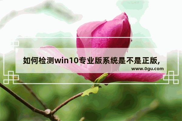 如何检测win10专业版系统是不是正版,如何检查win10版本