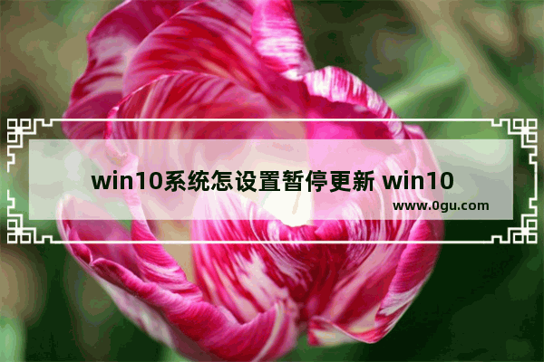 win10系统怎设置暂停更新 win10系统设置暂停更新日期的方法