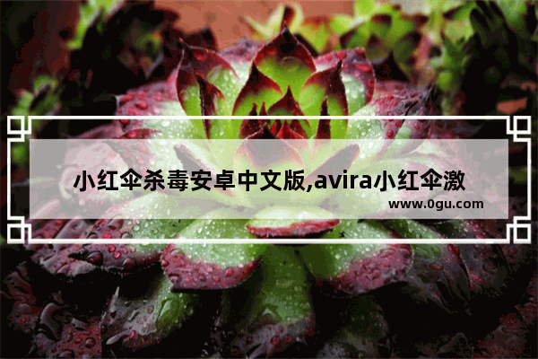 小红伞杀毒安卓中文版,avira小红伞激活码