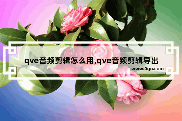 qve音频剪辑怎么用,qve音频剪辑导出后放在哪了