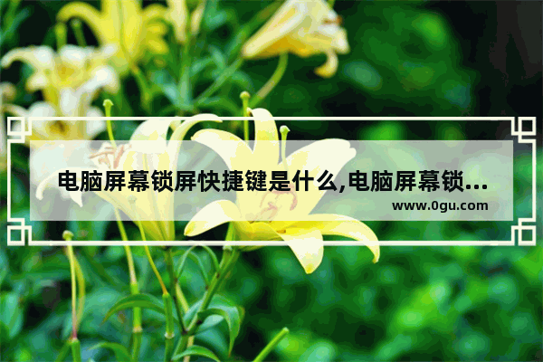 电脑屏幕锁屏快捷键是什么,电脑屏幕锁屏快捷键在哪个键盘上