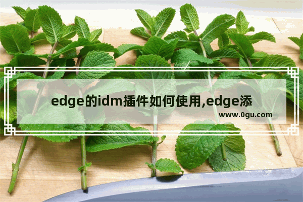 edge的idm插件如何使用,edge添加idm扩展