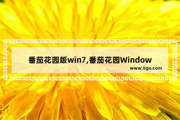 番茄花园版win7,番茄花园Windows 1