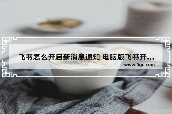 飞书怎么开启新消息通知 电脑版飞书开启新消息通知的方法