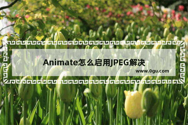 Animate怎么启用JPEG解决