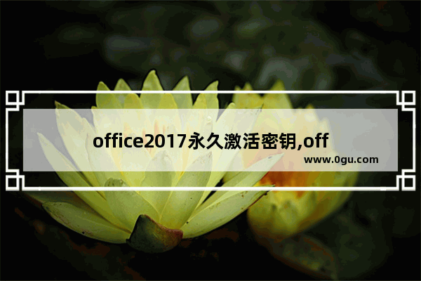office2017永久激活密钥,office2016激活产品密钥