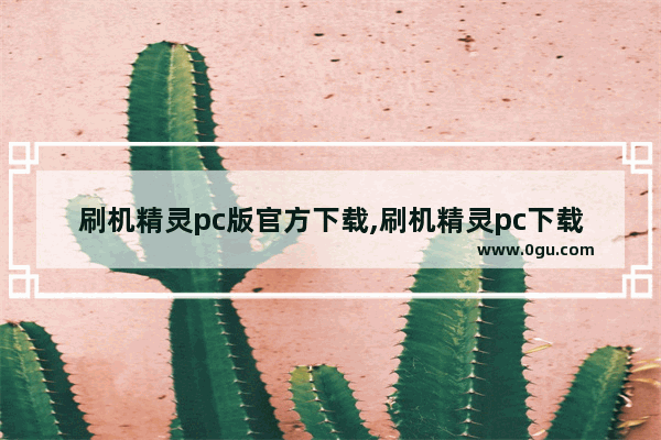 刷机精灵pc版官方下载,刷机精灵pc下载安装