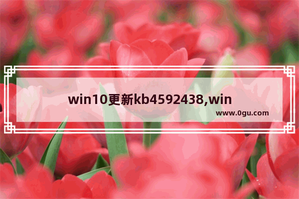 win10更新kb4592438,win10更新kb4584229