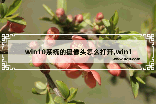 win10系统的摄像头怎么打开,win10摄像头在哪里打开