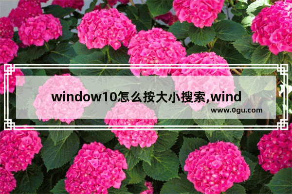 window10怎么按大小搜索,windows10查找大文件