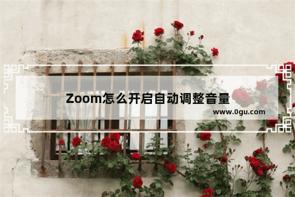 Zoom怎么开启自动调整音量