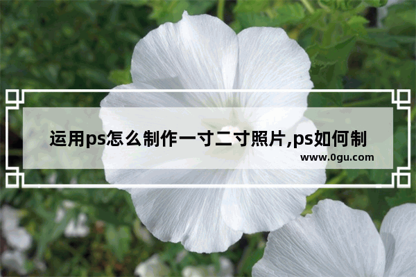 运用ps怎么制作一寸二寸照片,ps如何制作二寸证件照