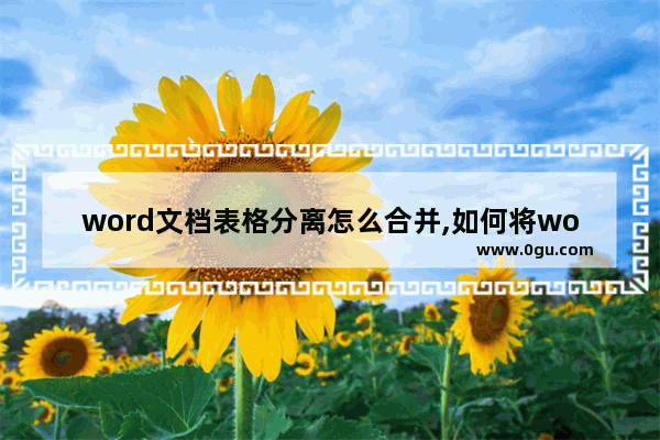 word文档表格分离怎么合并,如何将word分解组合