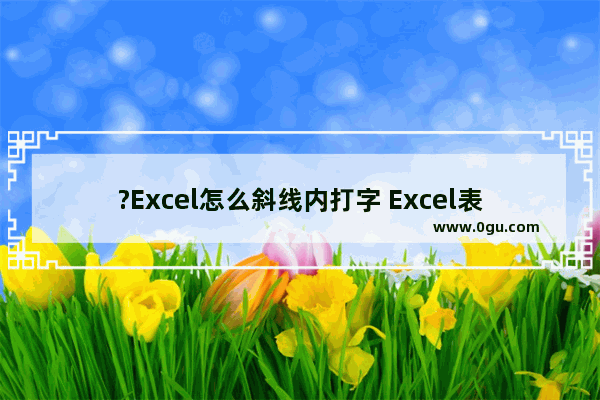 ?Excel怎么斜线内打字 Excel表格在斜线内打字的方法教程