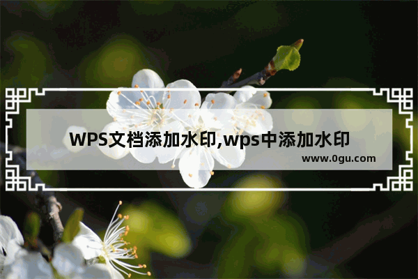 WPS文档添加水印,wps中添加水印