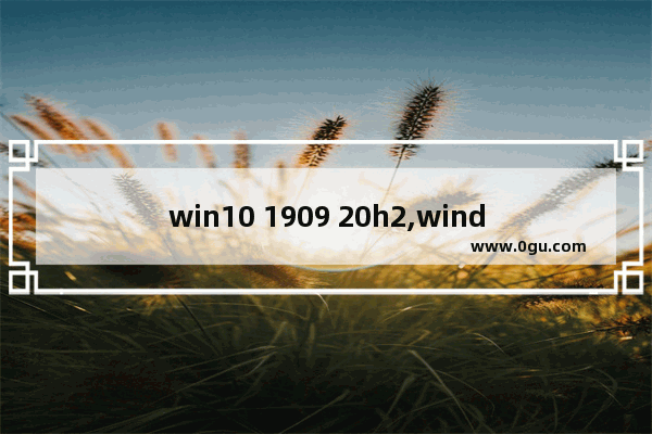 win10 1909 20h2,windows10 1903下载