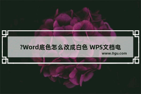 ?Word底色怎么改成白色 WPS文档电脑版将底色改回白色的方法教程