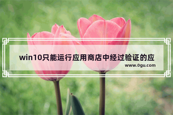 win10只能运行应用商店中经过验证的应用,此windows模式只运行应用商店验证